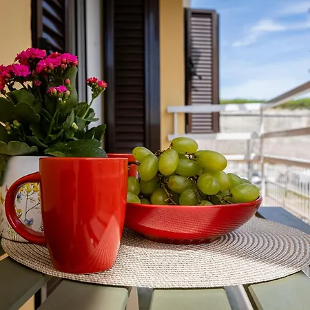 Chrysallida Corfu (city)